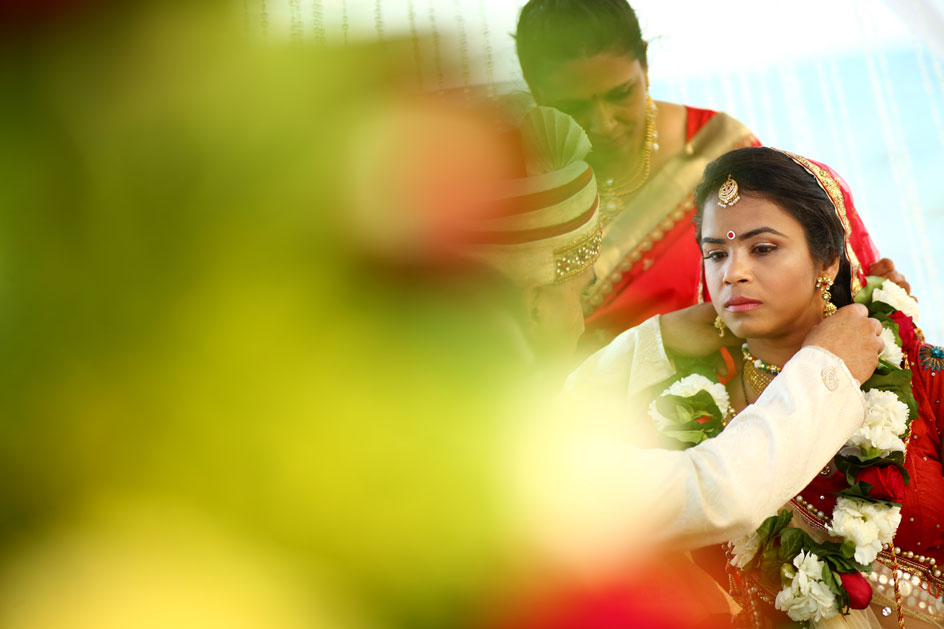 Hindu Wedding Azul Sensatory